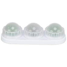 Trixie Speelballen Matatabi En Catnip Met Houder