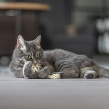 Trixie Speeltouw Met Franjes Assorti